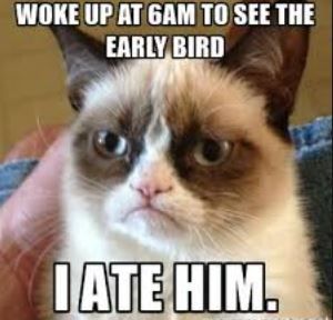 Early bird.JPG