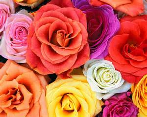 flower 2.jpg